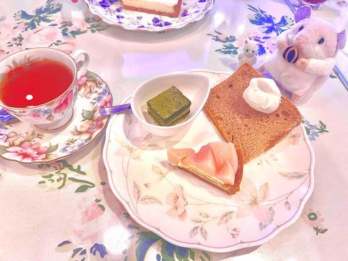 ペルシャねこのぬくもりゆたかくんと一緒にお茶会をした‪🐹☝️ゆうがﾅﾘ☆*。