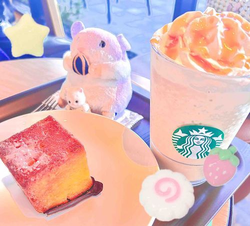 ペルシャねこのぬくもりゆたかくんとChillTime｡｡‪🐹ちゅうかわはホワイトモカがすき