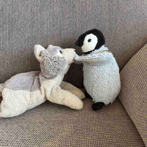 今日は仲良しのニキちゃんに会ってきたよ！
相変わらず距離感バグってた！
んもーあつくるしいっ。どんだけエンちゃんのこと好きやねん！！