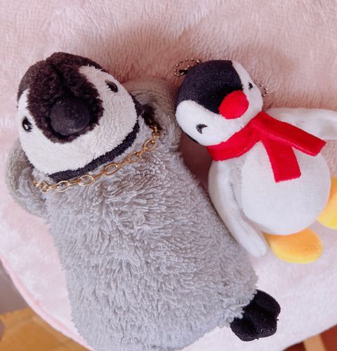 ちょうどいい気温やから、お昼寝が捗る~~！！
お気に入りのピンガのぬいと共に、グースカピー💤