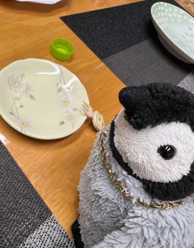 不意に撮られたエンちゃんだ！
目がﾆｯ😏ってしとる笑笑