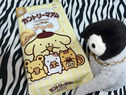 プリン味のカントリーマアム🍮♡
美味しすぎるぞ！！>  ̫ <
スーパーのお菓子コーナーで見つけた瞬間、ポムプリが大好きなあるじと一緒に狂喜乱舞した！笑
