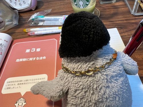 最近のエンちゃんはというと、あるじと共に資格勉強中😏💖
博識なペンギンになるために頑張るぞ！！！