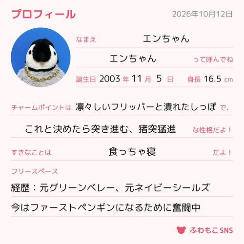 エンちゃんのプロフィールだ！💎