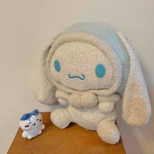 さいきんおうちにきたはちわれちゃんをしょうかいするね
にこにこえがおがかわいいよね〜