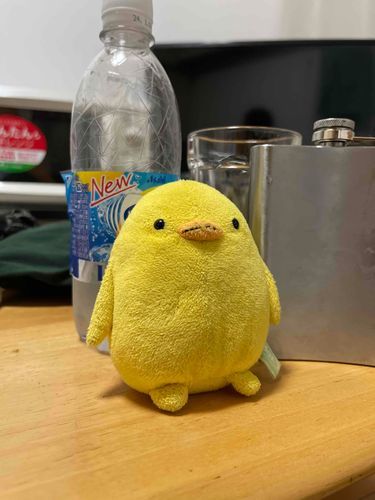 おやすみ