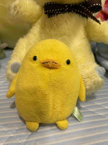 おはよう