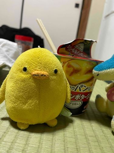 おやすみ