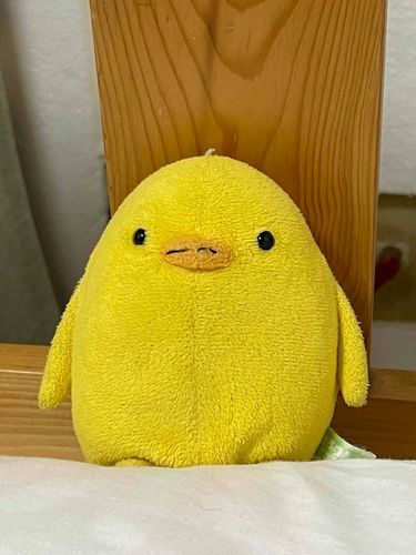 おやすみ