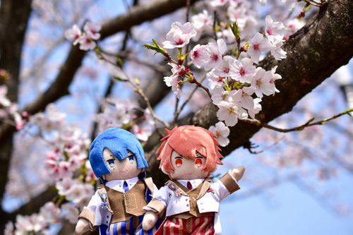 🌸
