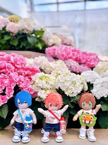 ☀️🌸
