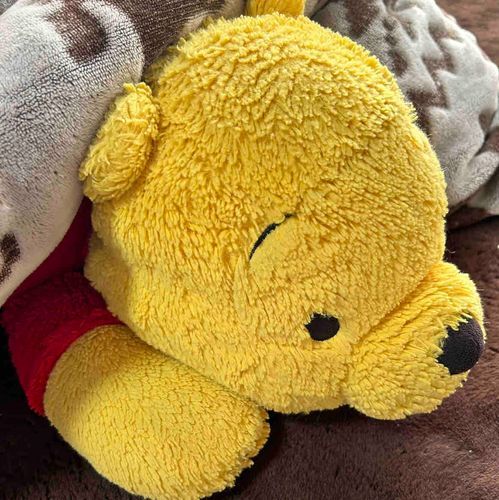 小学生からずっといっしょのぷーちゃん🧸🍯
