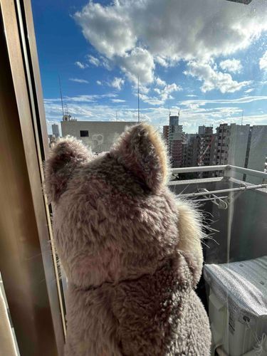 ん〜いい天気☀️
