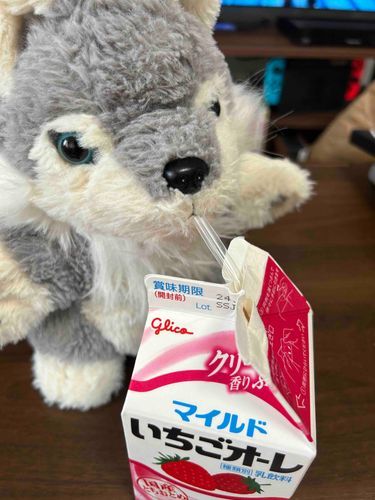 チュウチュウ……🍓