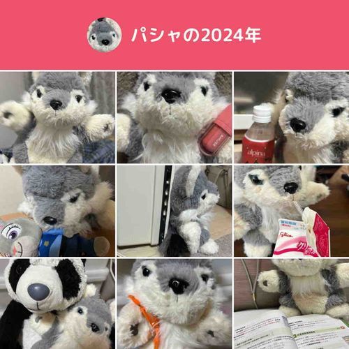 今年は出番が少なかったみたい！来年はもっと可愛いオレを見せてあげるね！