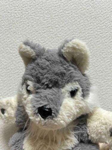今日はしょんぼりな日なの…