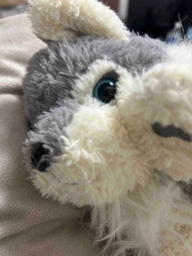 ふわふわタッチ！