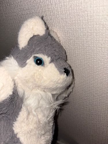 隣の部屋からなにやら楽しげな声が聞こえる…
