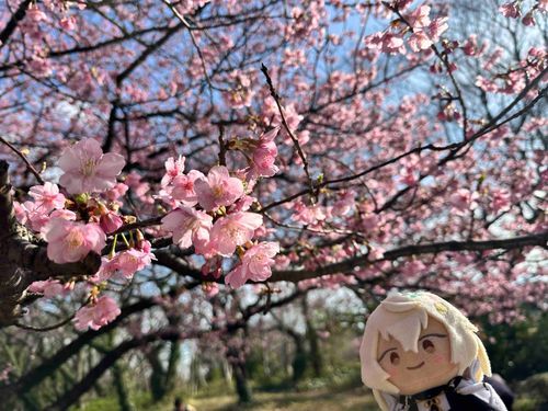 花は咲く