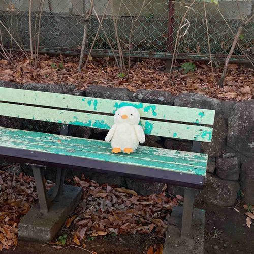 公園にお散歩に行きました