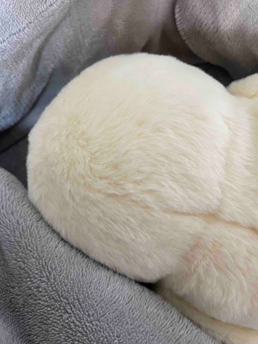 後頭部から失礼します
ぴよちゃんはでかい（褒）ので学校の日はお留守番してもらってます