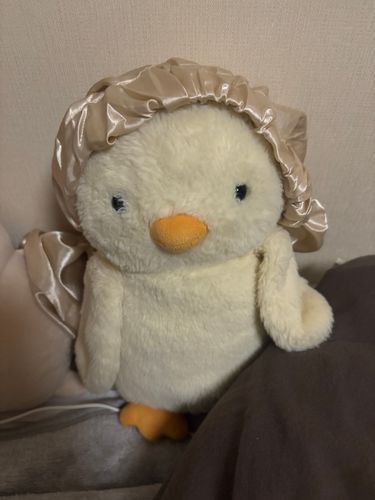 毛のケアは怠らない