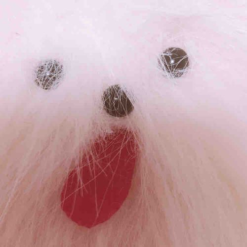 ふわふわ です 。

ぺろぺろ してます 。
 