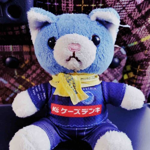 アウェイ観戦するねこ