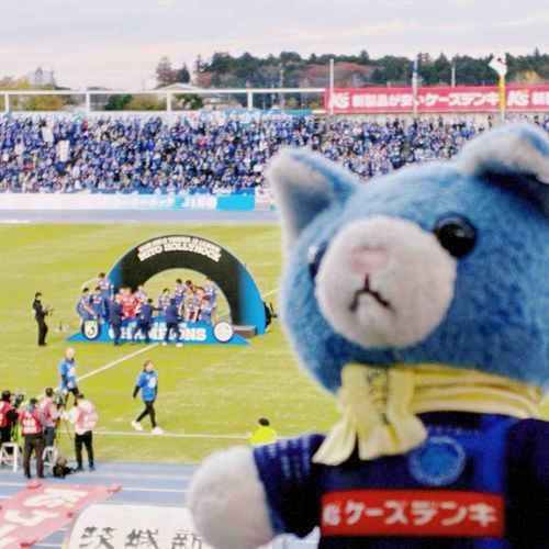 ゆうしょう！しました！！
