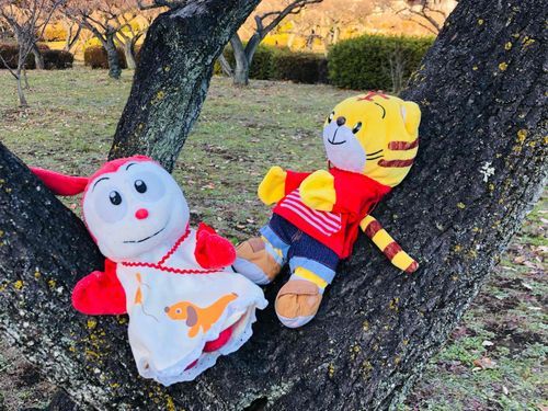 今日ね、ぼくの飼い主さんがおっきな公園に行ったんだ。ぼく、はじめて木に登ったんだよ。すごいかな??コラショも一緒!