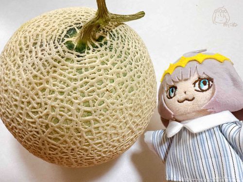 すばらしいメロン
