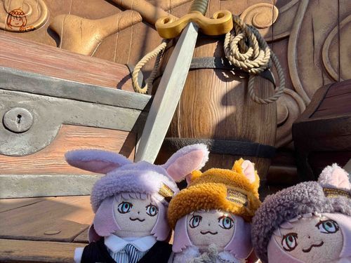 おともだちとファンタジースプリングスに行ったよ！
これは かいぞくせん