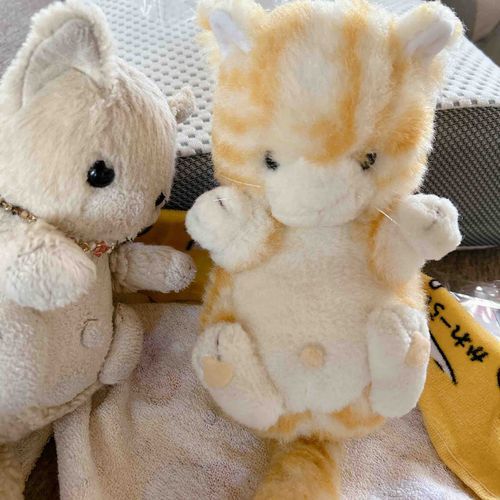 ｺﾈｺﾁｬﾝが　しょわしょわ　していたのは　おともだちが　びょういんしゃんかりゃ　たいいんして　くりゅかりゃでした。
おともだちが　ちりぇいに　なって　うりぇしいでしゅ😊