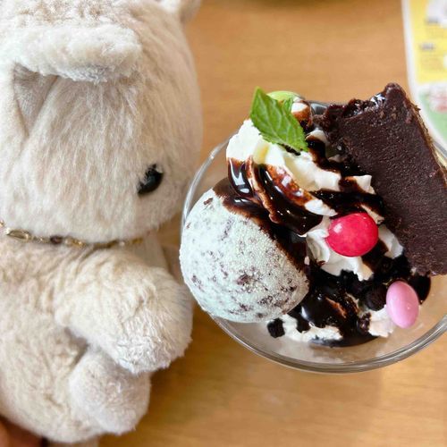 おひしゃしぶりでしゅ。
しゃいちん　おしょうしちが　あって　ほごしゃが　じたばた　していました。
ちょっと　おちちゅいて　ちたので　ちょこみんとの　ぱふぇを　たべました！
おいしかったので　また　いちたいでしゅ。