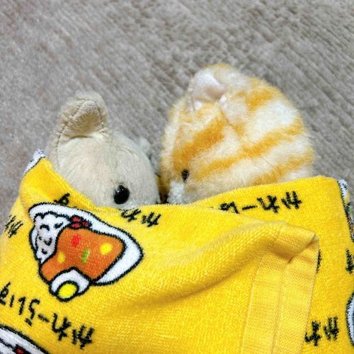 おはよう　ごじゃいましゅ。
あいかわりゃじゅ　ばたばたでしゅが、ｺﾈｺﾁｬﾝは　おともだちと　いっしょに　おりこうしゃんに　ねんね　していましゅ。