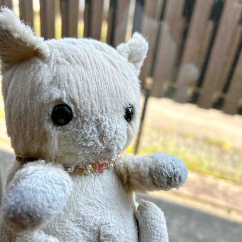 おはよう　ごじゃいましゅ。
ちのう　ほとちぇおくりが　おわって　ほごしゃも　ｺﾈｺﾁｬﾝも　ひといち　ちゅちました。
ほごしゃは　ちょうも　おしごとを　がんばりゅしょうでしゅ。