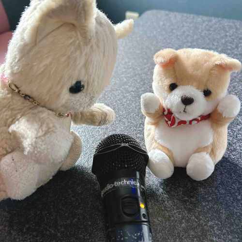 おひしゃしぶりでしゅ。
みそづけくんと　かりゃおちぇに　いってちました。みそづけくんは　まだ　おうたを　おぼえて　いなかったので　うたわなかったんでしゅちぇど、ｺﾈｺﾁｬﾝは　よねぢゅちぇんしの　りぇもんを　うたいました。
ほごしゃは　とうちぇんりゃんぶの　おたくでした。