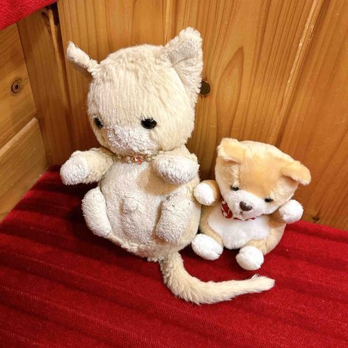 おひしゃしぶりでしゅ。よく　わかりゃないんでしゅちぇど、ほごしゃが　いしょがしかったみたいでしゅ。
ちょうも　びょういんに　いく　ちゅいでに　こめだに　ちゅりぇていって　もりゃいました。
ｺﾈｺﾁｬﾝも　みそづけくんも　こめだが　しゅちでしゅ😃