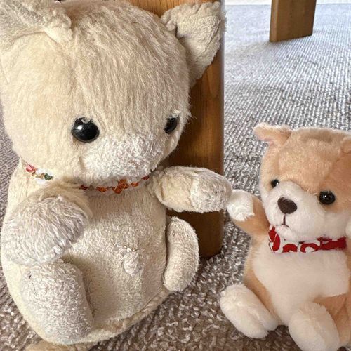 みなしゃん　とっても　おひしゃしぶりでしゅ。ｺﾈｺﾁｬﾝも　みそづけくんも　ぢぇんちでしゅ。
しゃいちん　ちゅうに　しゃむくなって　ちたので　ふわもこしゃんの　みなしゃんも　かいぬししゃんも　かじぇには　ちをちゅちぇて　くだしゃいね。