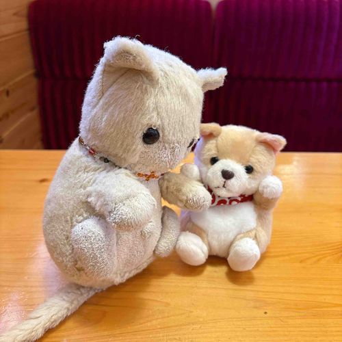 みそづけです！
きょうは、ほごしゃさんとｺﾈｺﾁｬﾝといっしょにあさこめだをしましまた！
しょくぱんはとってもおおきいですね！