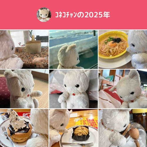 ことしも　いちねん　おしぇわに　なりました。りゃいねんも　ごはんと　おやちゅを　いっぱい　たべましゅ😊