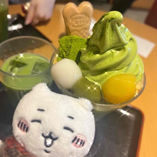 抹茶だいすき𑁍