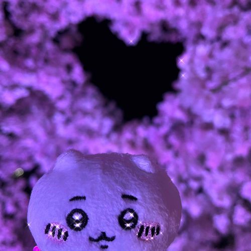 ハートさくら🌸