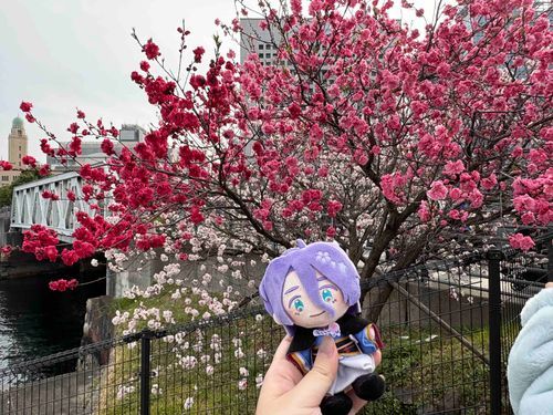 梅が綺麗だったね
