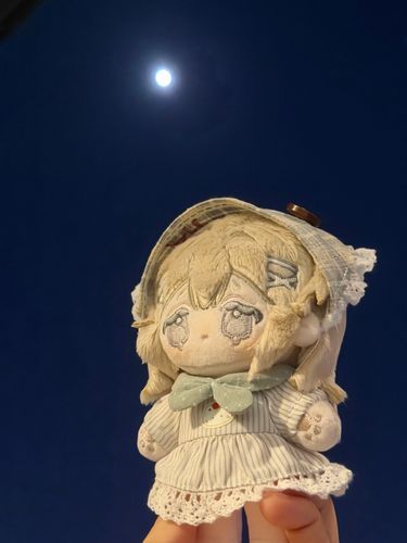 月が綺麗だったね🎑