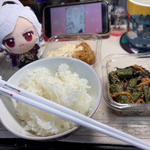 昼食
娘にしてはバランスがとれていると思う。
次の機会にはみそ汁も追加したい。