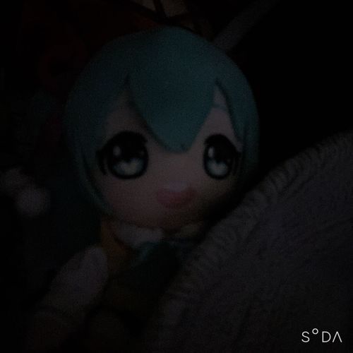 おはようみく…
雨で眠いみく…☔️