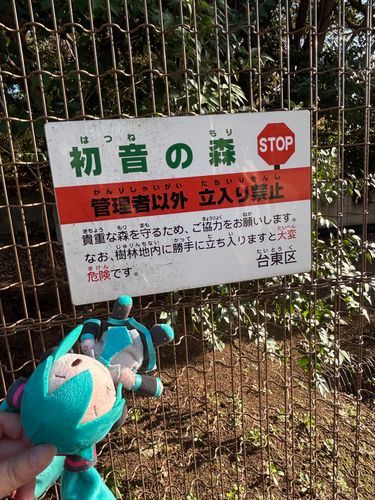初音の森！？
