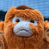 きんちゃん