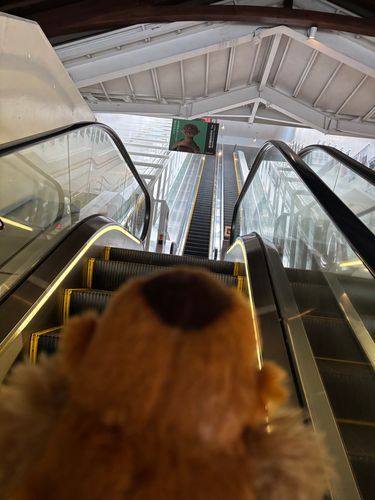 エスカレーター長いね